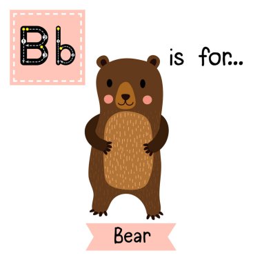 B harfi izleme. Ayakta Duran Ayı. Şirin çocuklar hayvanat bahçesi alfabesi hafıza kartı. Komik çizgi film hayvanı. Eğitimli çocuklar. İngilizce kelime haznesi öğreniyorum. Vektör illüstrasyonu.