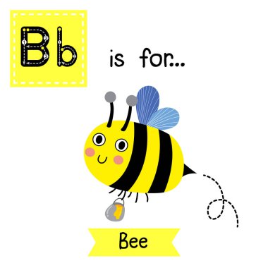 B harfi izleme. Mutlu Arı ağzına kadar lezzetli bal dolu bir kavanozla etrafta uçuyor. Şirin çocuklar hayvanat bahçesi alfabesi hafıza kartı. Komik çizgi film hayvanı. Eğitimli çocuklar. İngilizce kelime haznesi öğreniyorum. Vektör illüstrasyonu.