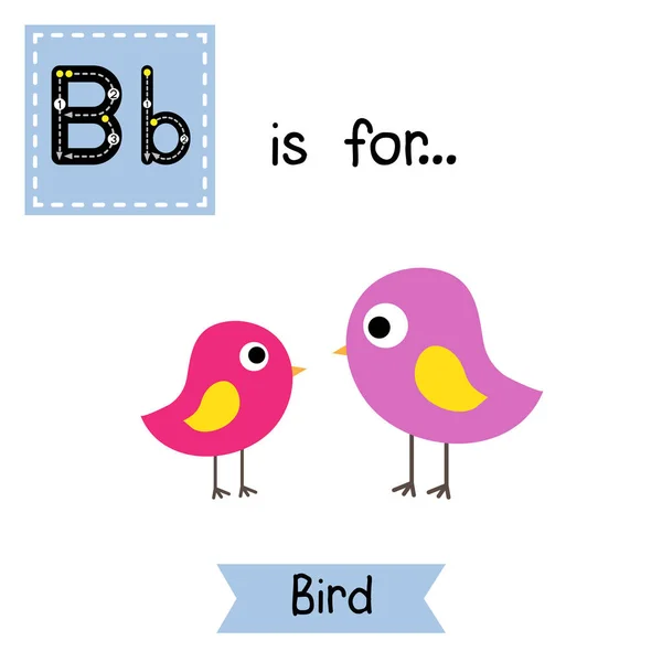 Tracciamento Lettera Uccello Colorato Carino Bambini Zoo Alfabeto Flash Card — Vettoriale Stock