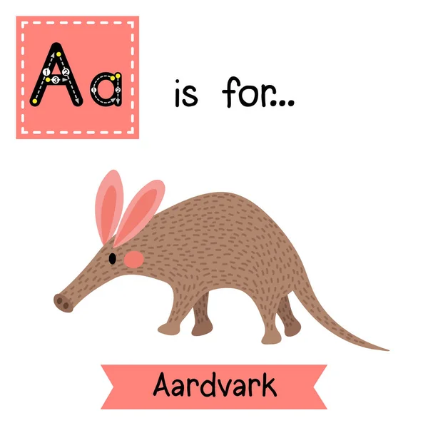Levél Lenyomozása Sétáló Aardvark Aranyos Gyerekek Állatkert Ábécé Flash Kártya — Stock Vector