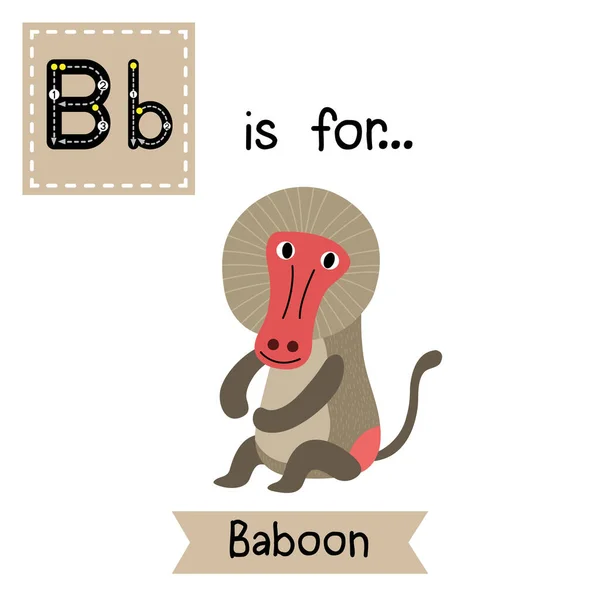 Ανίχνευση Επιστολής Καθιστός Μπαμπουίνος Χαριτωμένη Κάρτα Λάμψης Ζωολογικού Κήπου Αστείο — Διανυσματικό Αρχείο