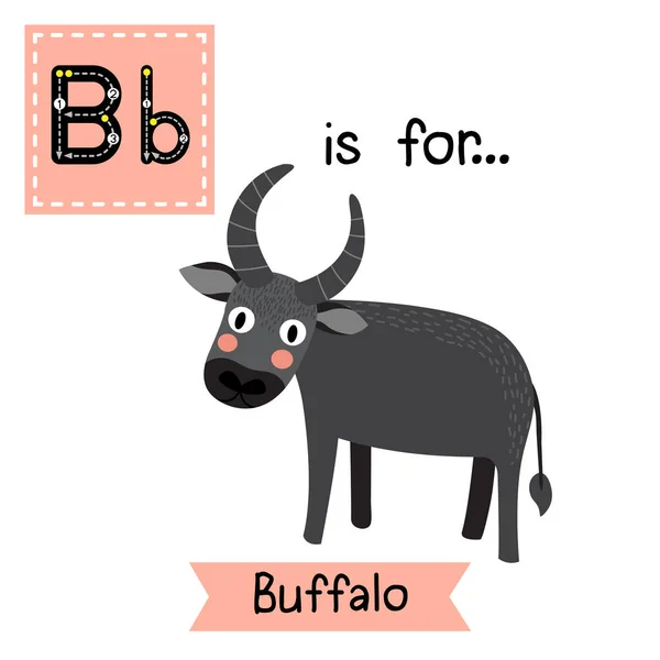 Sledování Písmene Stojící Buffalo Roztomilé Děti Zoo Abeceda Flash Card — Stockový vektor