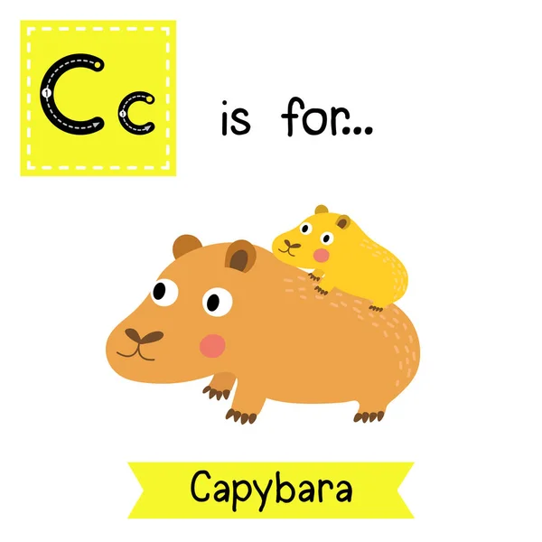 Letra Rastreo Capybara Madre Hijo — Archivo Imágenes Vectoriales