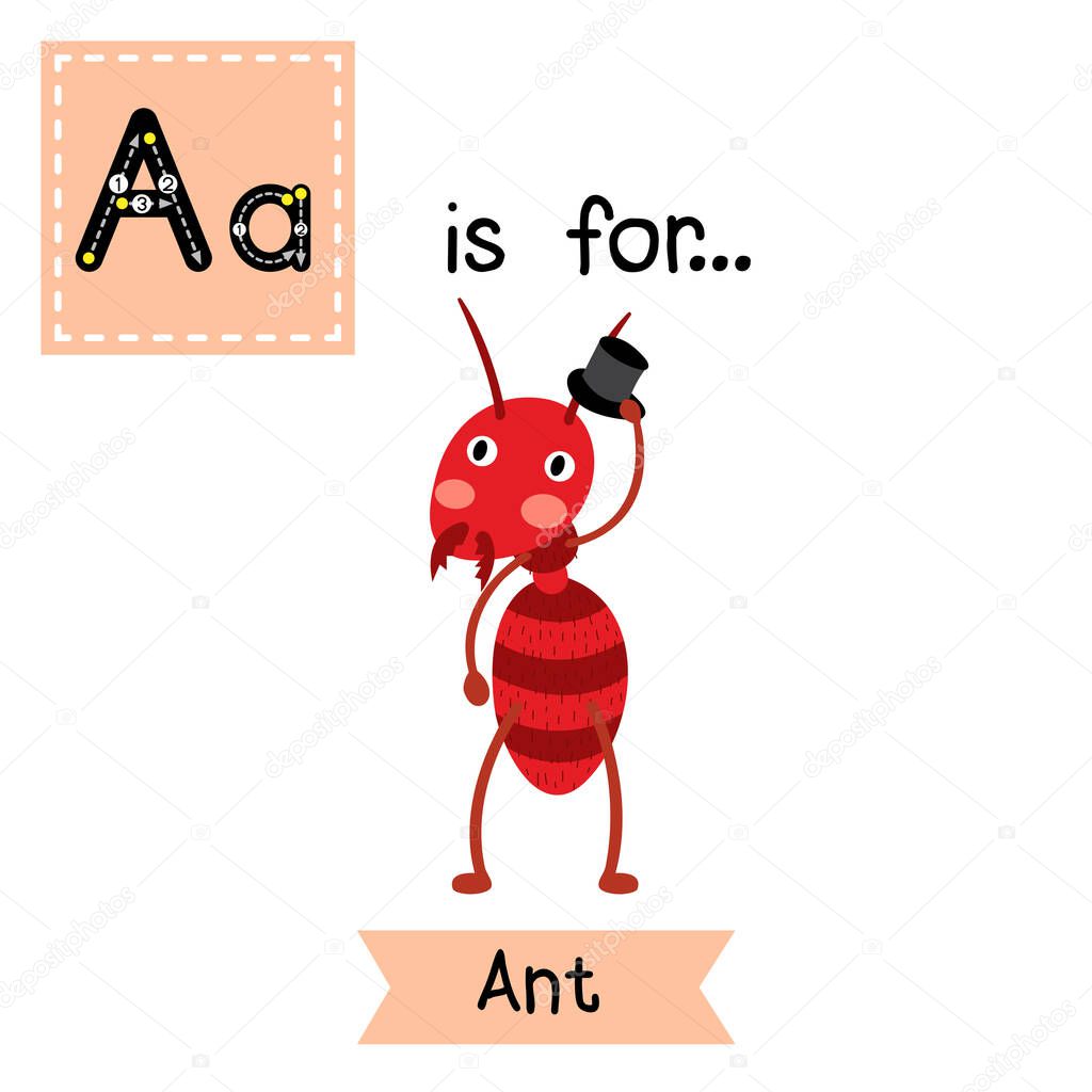 A letter tracing. Fire ant. Cute children zoo alphabet flash card. Funny cartoon animal. Kids abc education. Learning English vocabulary. Vector illustration.