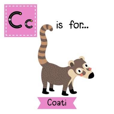 Letter C tracing. Standing Coati clipart