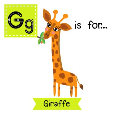 G harfi iz sürme. Yaprak yiyen zürafa..