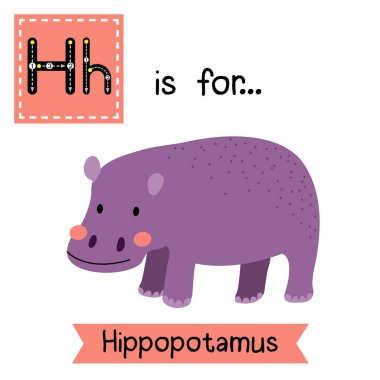 H harfi iz sürme. Ayakta Duran Hippopotamus.