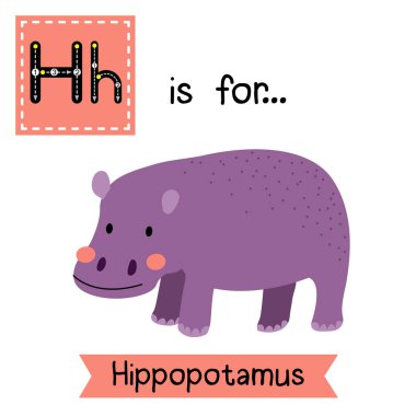 Letter H tracing. Standing Hippopotamus. clipart