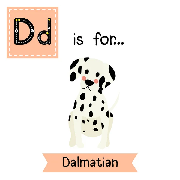 Lettre Traçant Dalmatien Assis — Image vectorielle