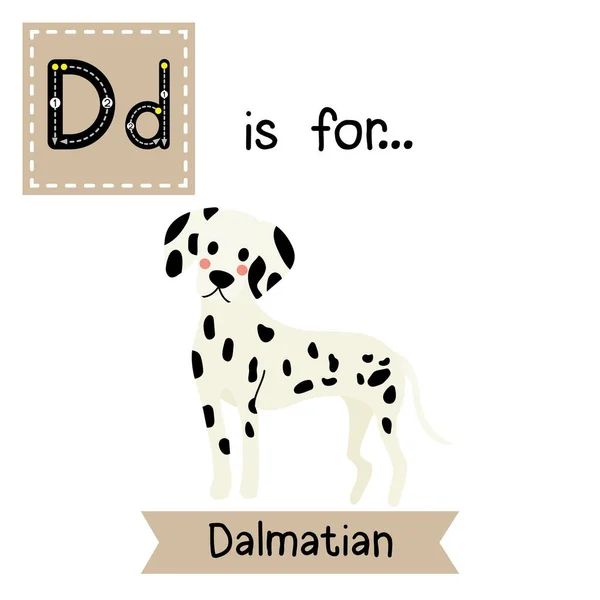 Lettre Traçant Dalmatien Permanent — Image vectorielle