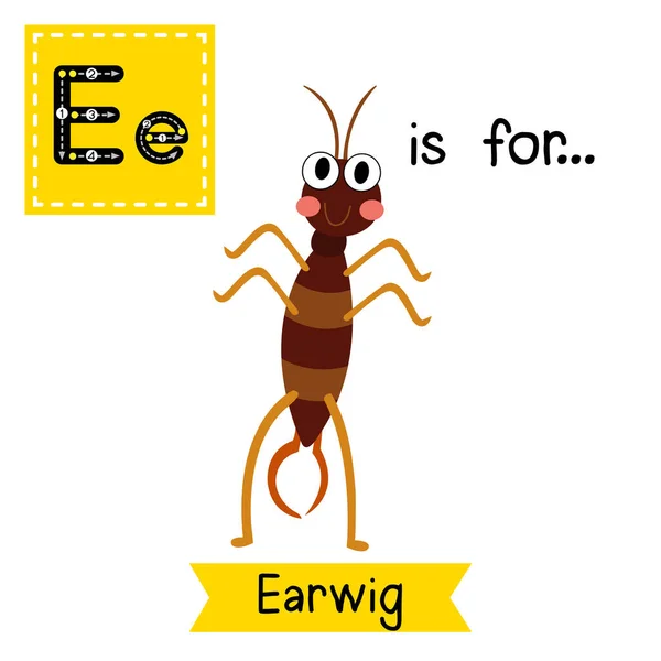 Letra Rastreo Earwig Pie Sobre Dos Piernas — Vector de stock