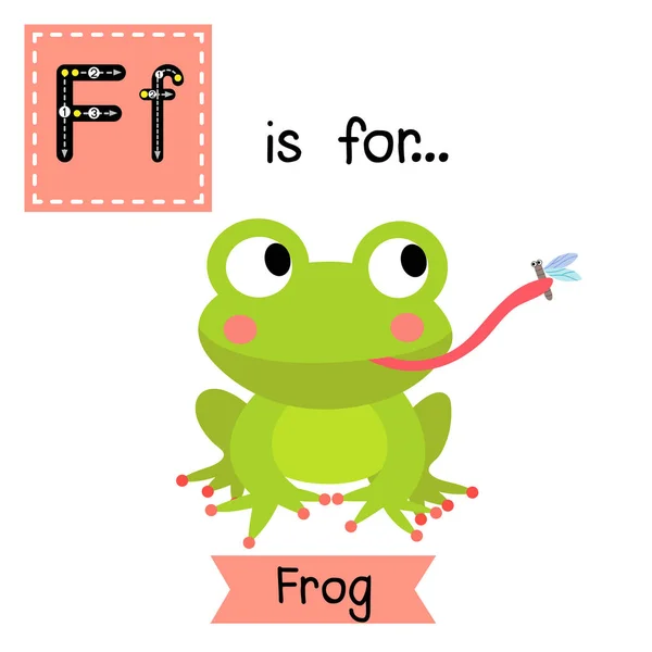 字母F追踪 青蛙吃苍蝇 — 图库矢量图片
