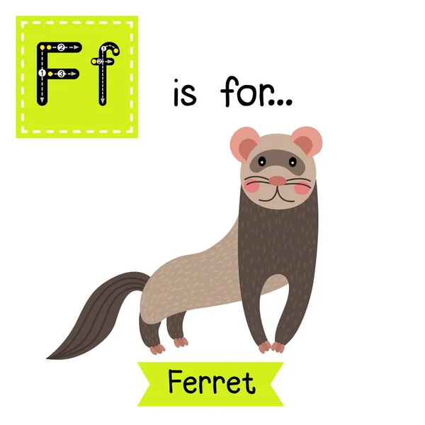 Huruf Tracing Berdiri Ferret - Stok Vektor