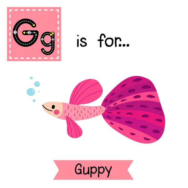 Brief Traceren Roze Guppy Vis — Stockvector