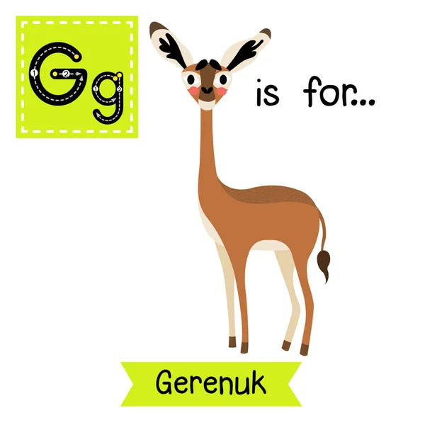 Letra Rastreo Gerenuk Pie — Vector de stock