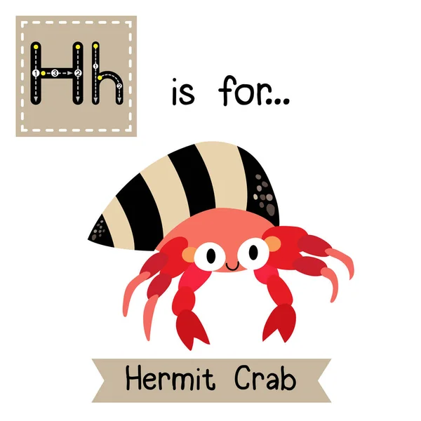 Lettre Traçant Crabe Ermite — Image vectorielle