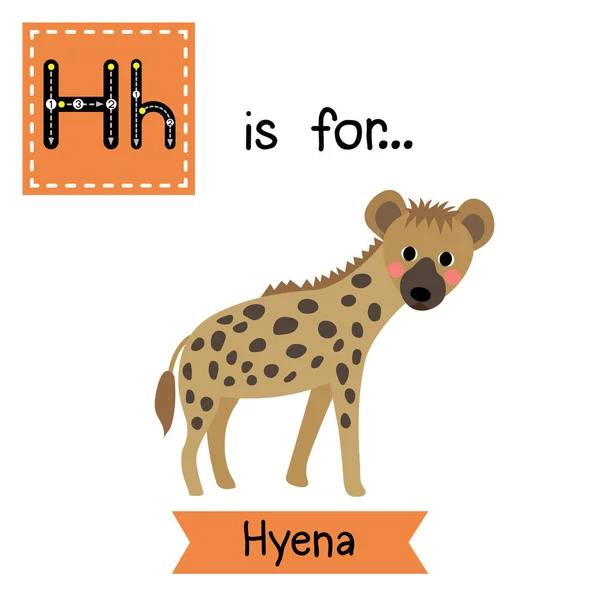 Huruf Tracing Hyena - Stok Vektor