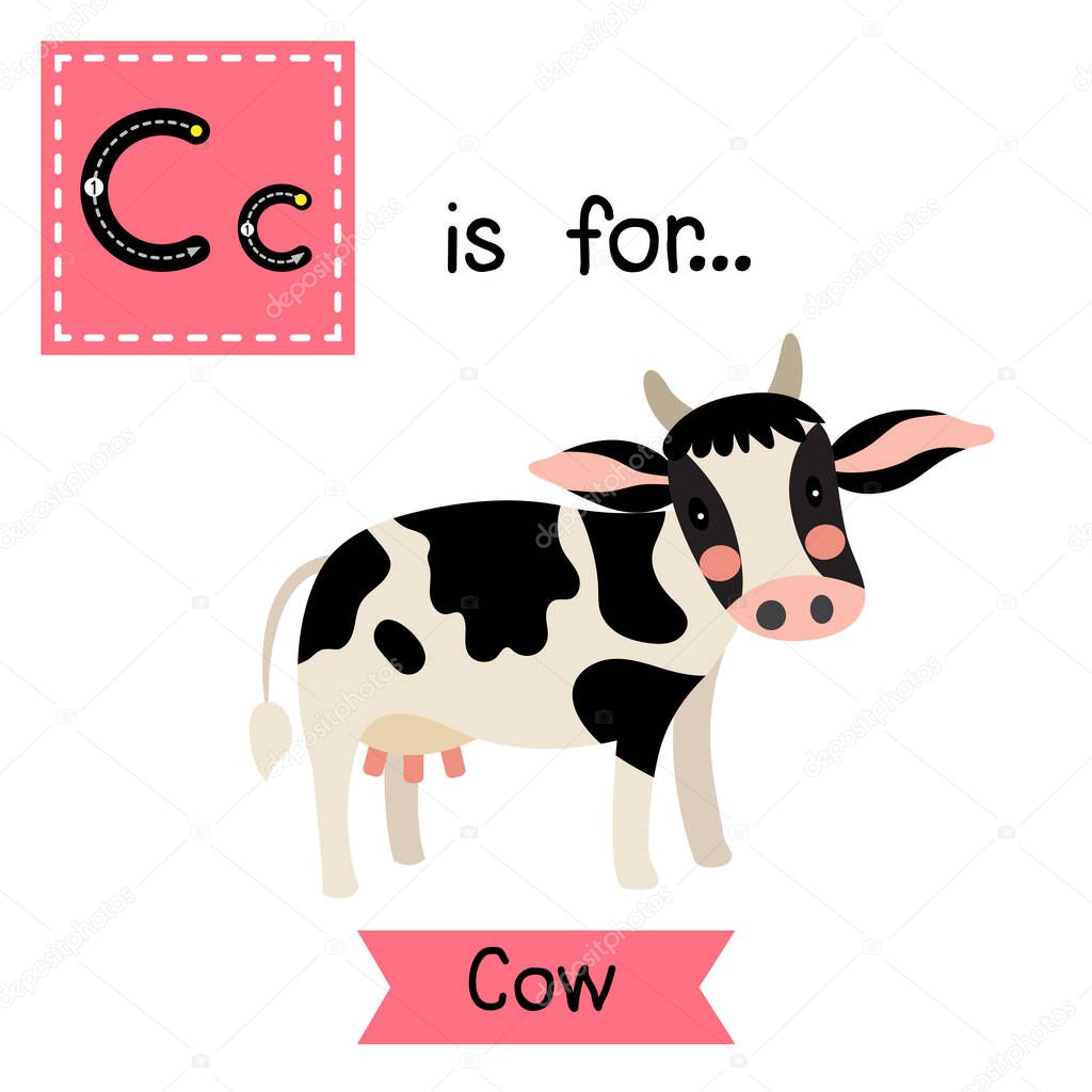 Letter C tracing. Happy Holstein Cow