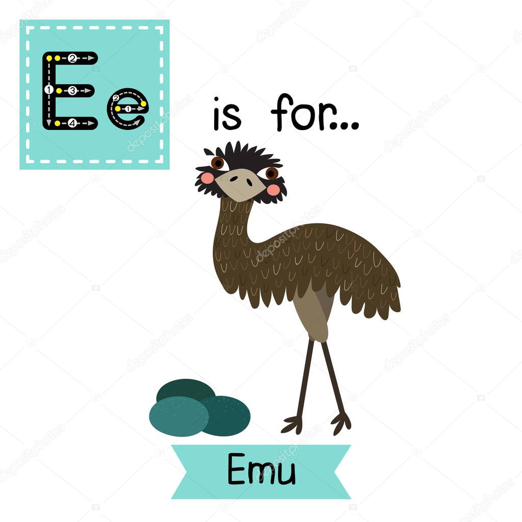 Letter E tracing. Standing Emu with eggs.