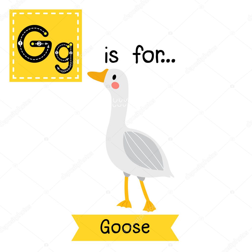 Letter G tracing. Goose.