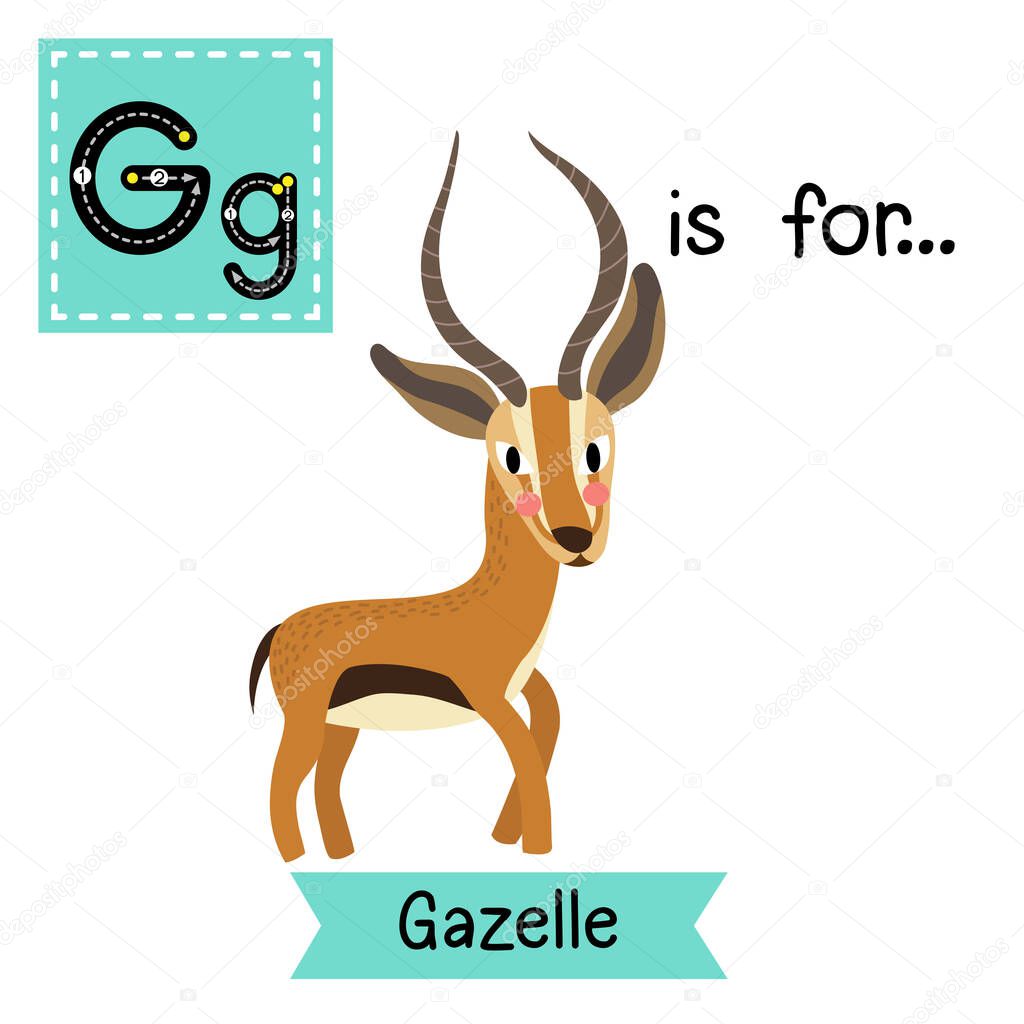 Letter G tracing. Standing Gazelle