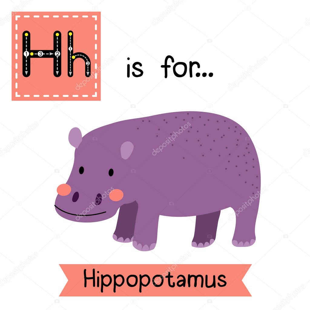 Letter H tracing. Standing Hippopotamus.