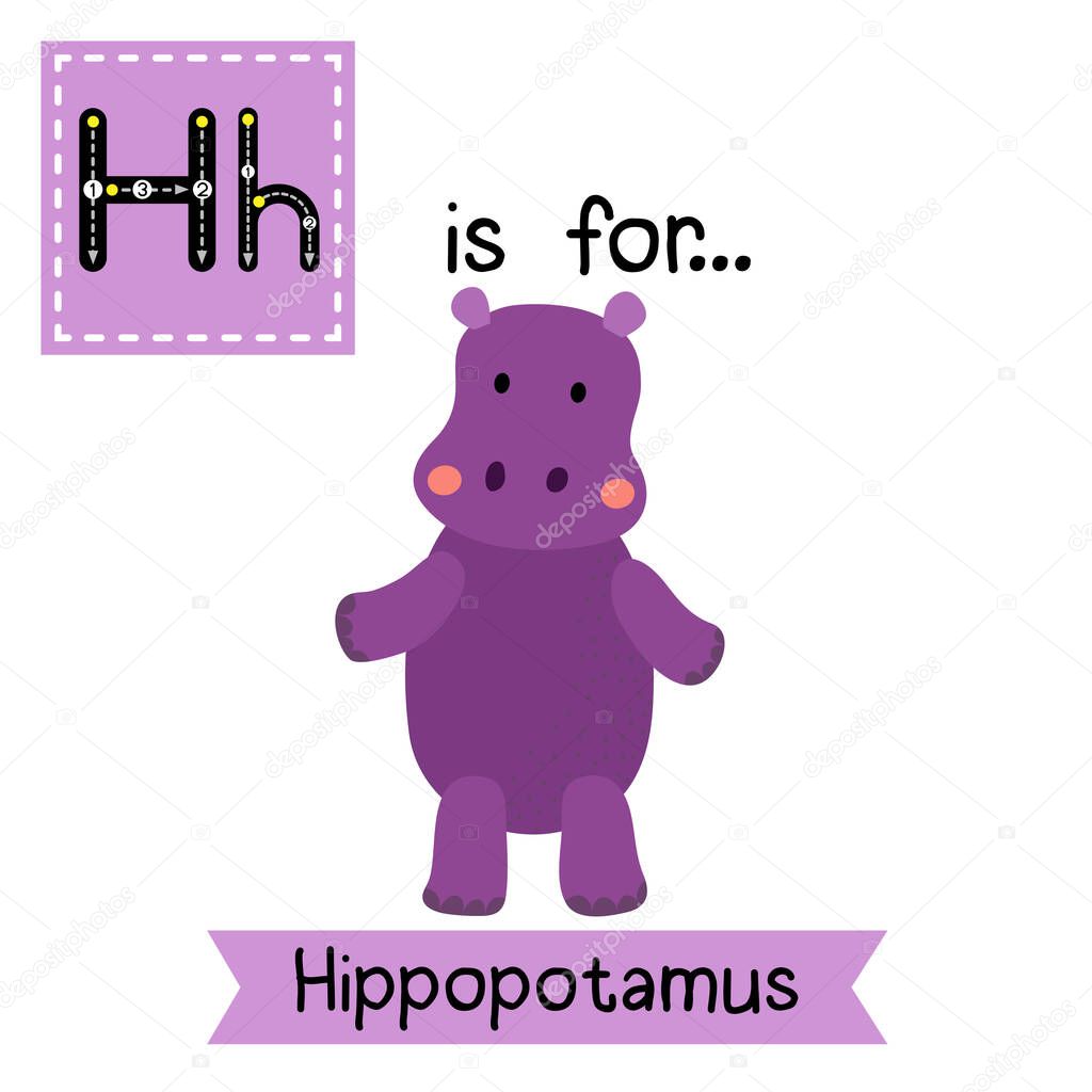 Letter H tracing. Hippopotamus standing on two legs.