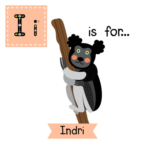 Відстежую Букву Cute Indri Лазить Дереву — стоковий вектор
