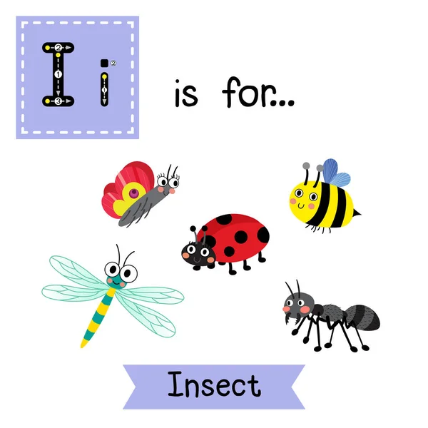 Carta Que Estoy Rastreando Insectos — Vector de stock
