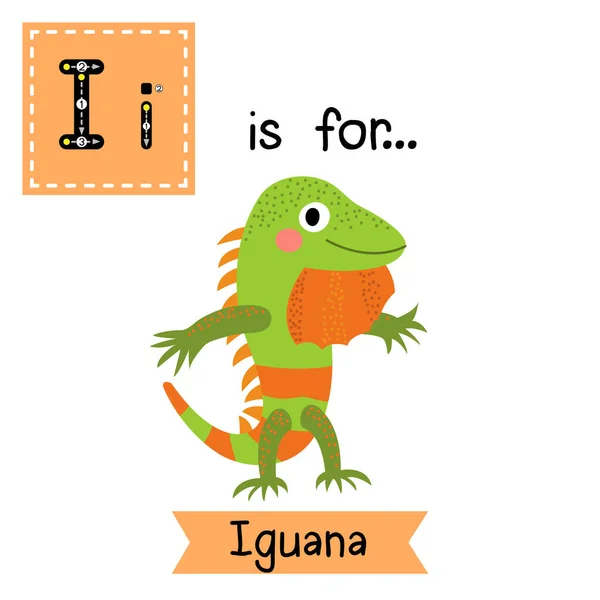 我追踪到的信Iguana两条腿站立 — 图库矢量图片