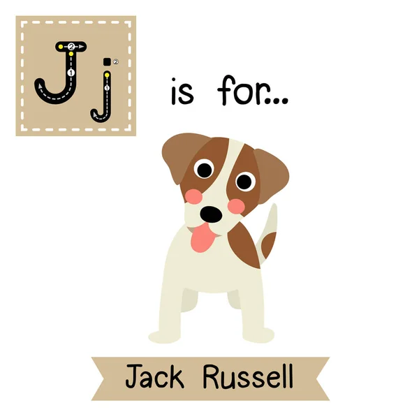 Lettre Traçant Jack Russell — Image vectorielle