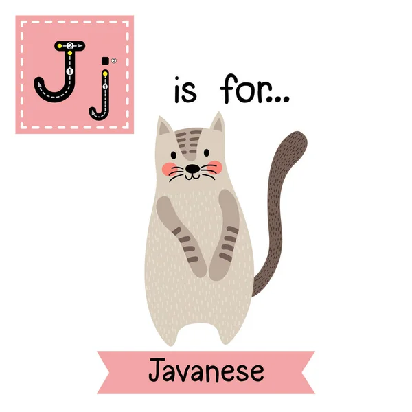 文字J追跡 二本足で立つジャワ猫 — ストックベクタ