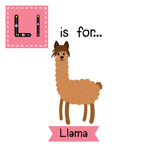 Lettre Traçant Lama Brun — Image vectorielle
