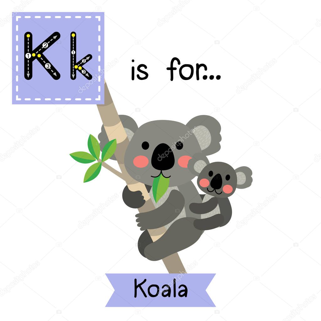 Letter K tracing. Koala bear and baby koala