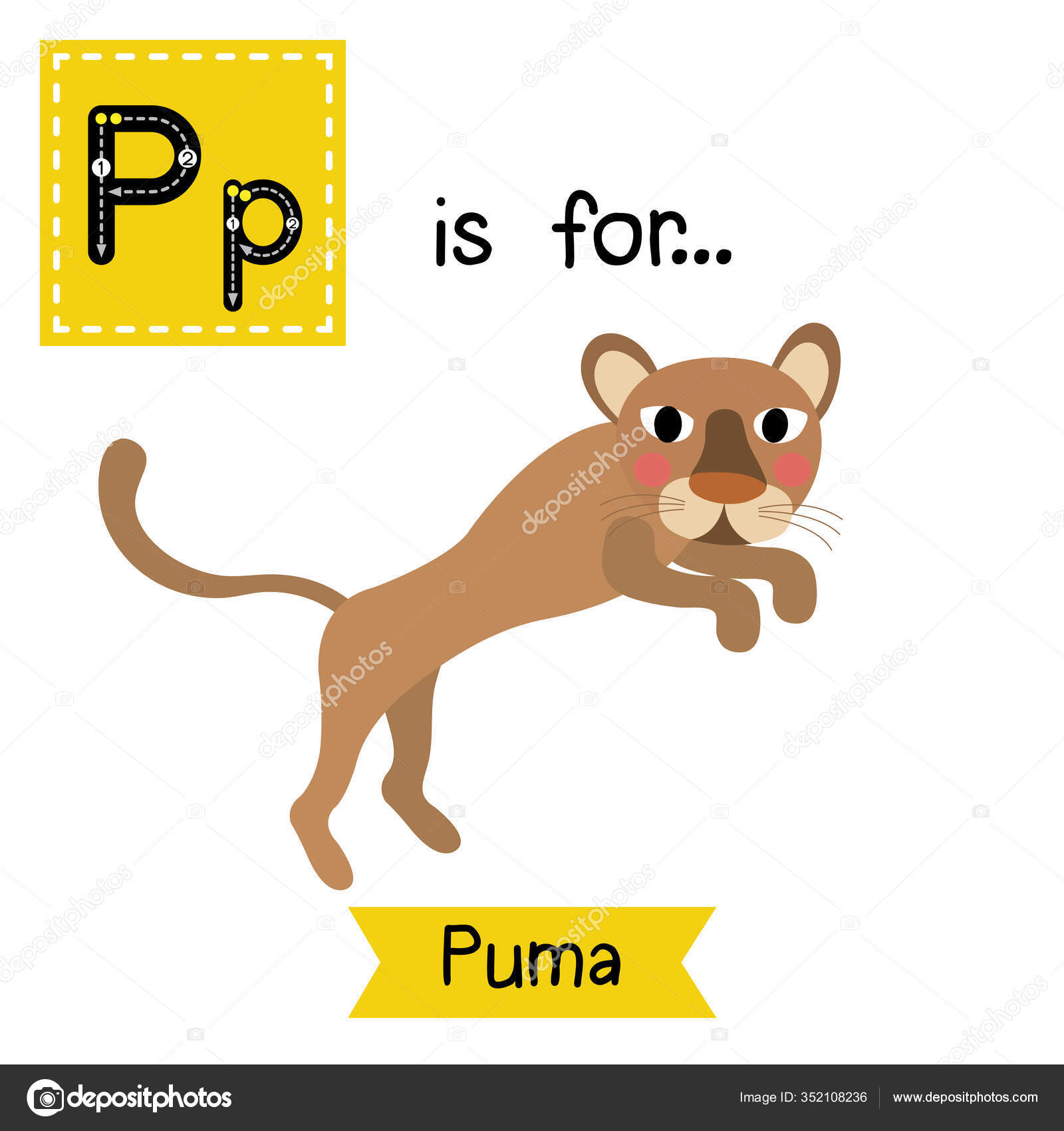 carpeta Sociedad tifón 39 ilustraciones de stock de Puma bebe | Depositphotos®