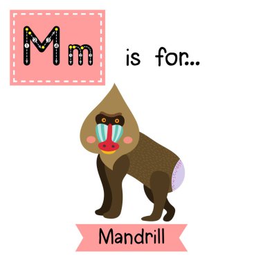 M harfi iz sürme. Mandrill.