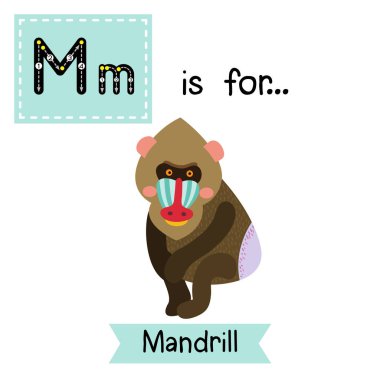 M harfi iz sürme. Oturan Mandrill.