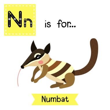 N harfi iz sürme. Numbat