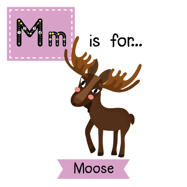 字母M跟踪 站立的麋鹿 — 图库矢量图片