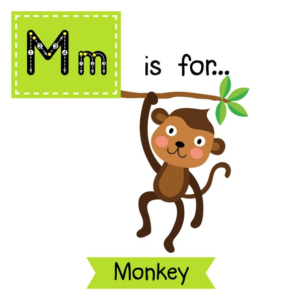 Γράμμα Χαριτωμένη Μαϊμού — Διανυσματικό Αρχείο