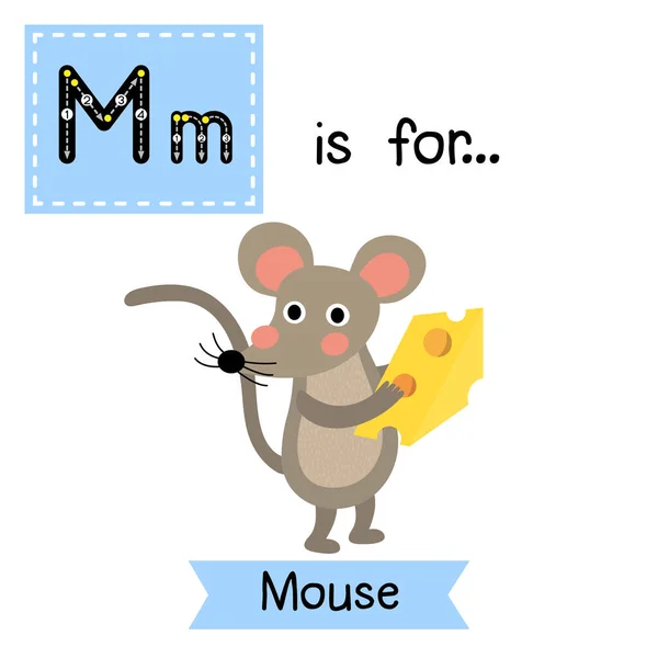 Písmeno Myš Sýrem — Stockový vektor