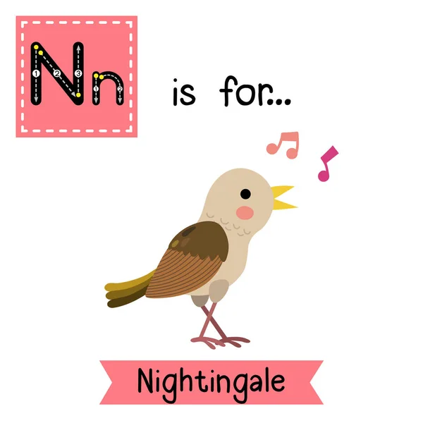字母N追踪 歌唱夜莺鸟 — 图库矢量图片