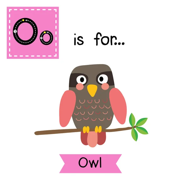 Letter Tracing Pink Owl Bird — Stock Vector