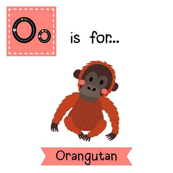 Letter Tracing Sitting Orangutan — Stock Vector