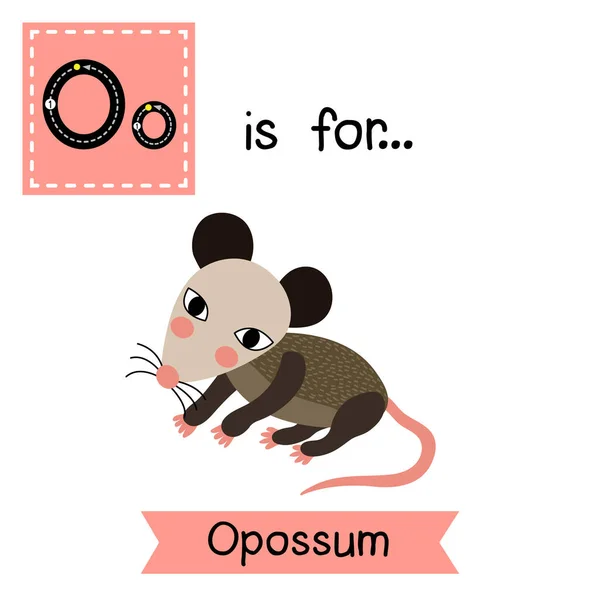 Surat Tracing Opossum - Stok Vektor