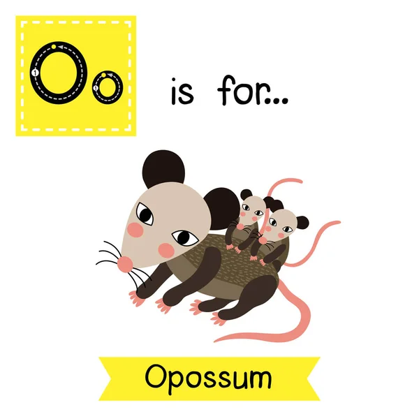 レター トレース 母と赤ん坊 Opossum — ストックベクタ