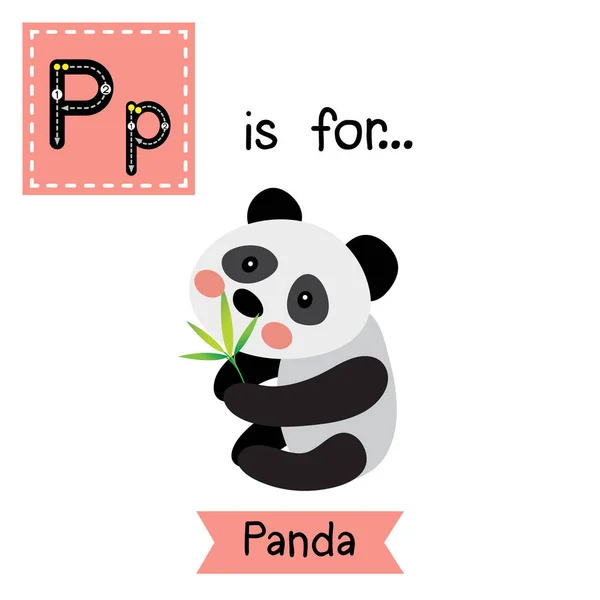 Letra Rastreo Oso Panda Con Hojas Bambú — Vector de stock