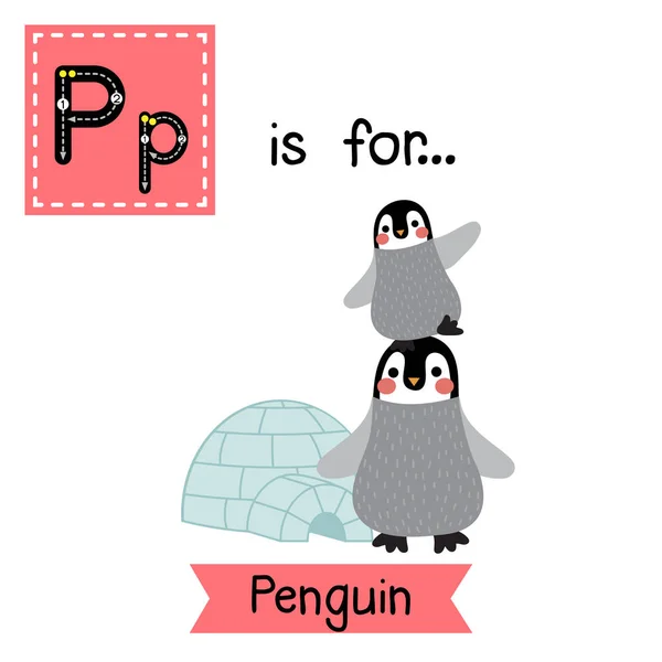 Betű Lenyomozása Vicces Pingvin — Stock Vector