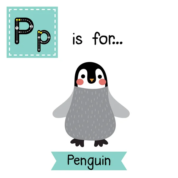 Betű Lenyomozása Pingvin — Stock Vector