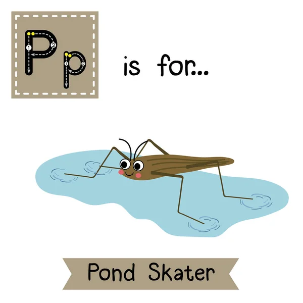 Letra Rastreo Patinador Estanque — Vector de stock